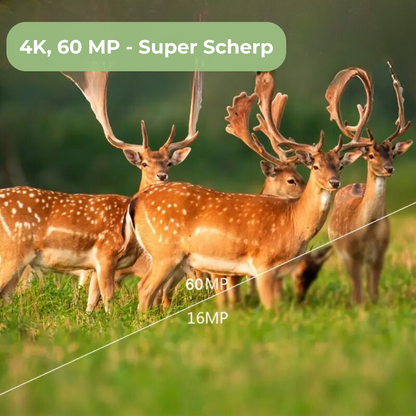 OutdoorHaven Viltkamera - 4K Ultra HD 60 MP - Med app