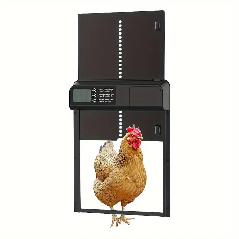 Automatisk kyllingklekking - med timer